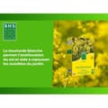 Pikkukuva 3 / 6: Solar Dummy -kamera - LINK2HOME - Röd Blixt, Uppladdningsbara-akku, Hållbar ABS