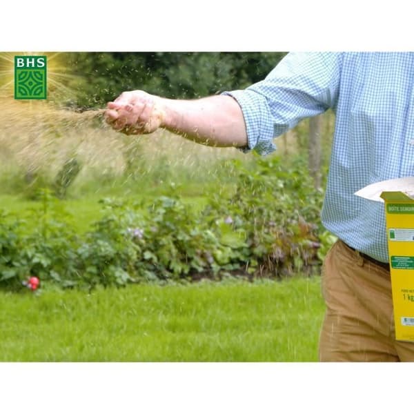 Vattenuppsamlare - BELLI - Dune - 300 liter - Grege