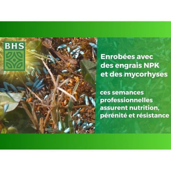 BHS Engelsk Græsplæne - 1 kg til Premium Haver