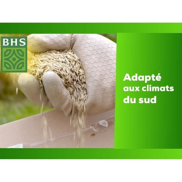 Græsplæne - BHS - Rustik Sydgræsplæne - 1 kg, 40 m². Modstandsdygtig over for tørre forhold takket være høj svingel. Hurtig og jævn.