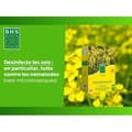 Miniatyrbillede 5 af 6: Grøn gødning - BHS - Hvid sennep 500g | 100 m² | Forbedrer og desinficerer jorden for bedre frugtbarhed.