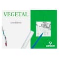 Miniatyrbillede 2 af 2: Kalkerpapir Canson Basik 250 Ark 90 g/m² 29,7 x 42 cm