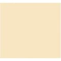 Miniatyrbild 1 av 2: Card Iris Beige 50 x 65 cm