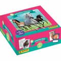 Miniatyrbillede 1 af 2: Stickers Panini