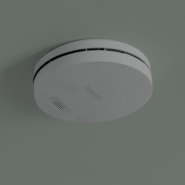 HOMBLI Smart Smoke Detector Grey