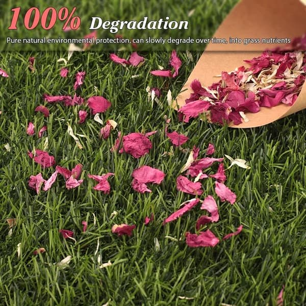 10 påsar X 10g torkade 100% naturliga rosenblad för bröllop, biologiskt nedbrytbara, bred applikation