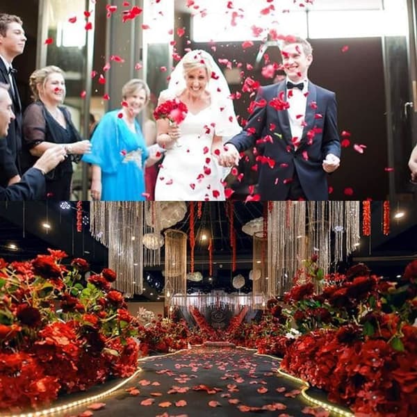 Rosenbladskonfetti för bröllop Alla hjärtans dag födelsedagsfest 3000 st rött papper rosenblad