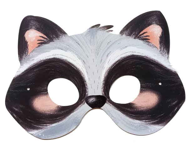Ansiktsmasker och skattjakt Skogens djur 5-pack Fridolin