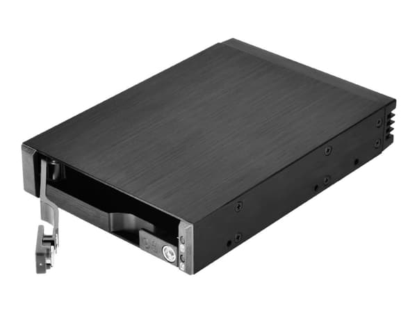 SilverStone FS202 - Hus til lagringsenhed - 2.5" - 3.5" til 2.5" - lajittelu