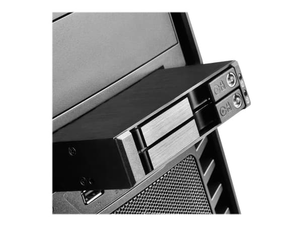 SilverStone FS202 - Hus til lagringsenhed - 2.5" - 3.5" til 2.5" - lajittelu