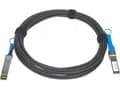 Miniatyrbilde 4 av 5: NETGEAR - Direkte 10GBase-koblingskabel - SFP+ (hann) til SFP+ (hann) - 7 m - toakset - aktiv