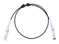 Miniatyrbilde 3 av 5: Extralink - 10GBase-kabel for direkte feste - SFP+ til SFP+ - 1 m