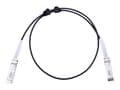 Miniatyrbilde 2 av 5: Extralink - 10GBase-kabel for direkte feste - SFP+ til SFP+ - 1 m