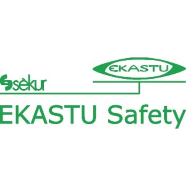Ekastu Mandil Soft V 412 084 Dammskyddsmask med ventil FFP2 5 st