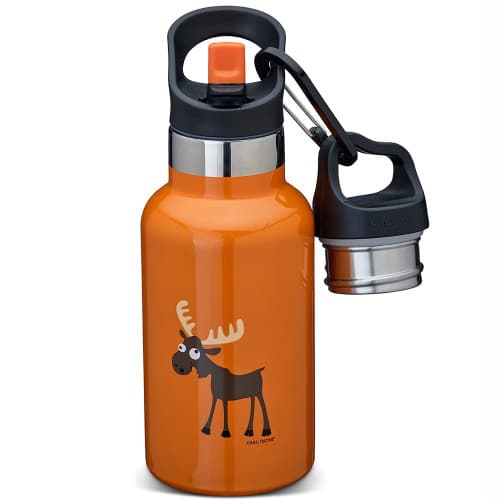 TEMPflaska 0,35L Orange
