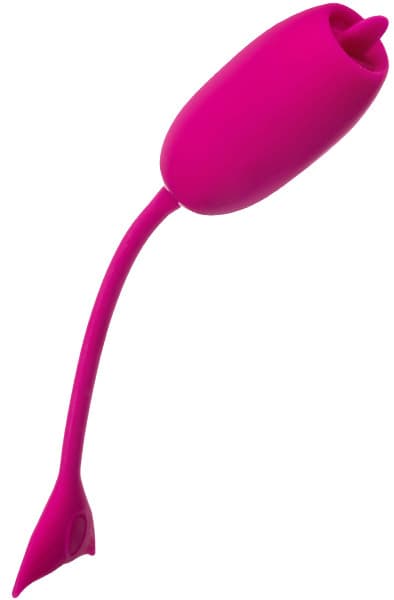 Cal Exotics Rechargeable Kegel Teaser Vibrerende egg