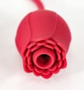 Miniatyrbild 2 av 2: RED ROSE SUCTION + VIBRATING BULLET