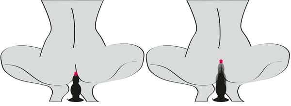 BLACK VELVETS BOUNCING ANALPLUG YOU2TOYS