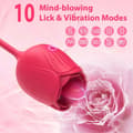 Pikkukuva 3 / 7: Double joy, vibrator with 10 vibration modes