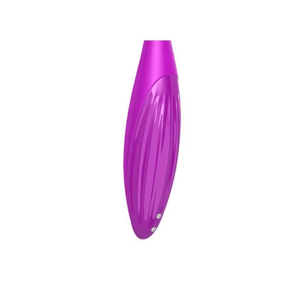 Satisfyer Twirling Joy Connect App
