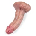 Miniatyrbild 6 av 6: Lenny sugkopp dildo 15,0cm