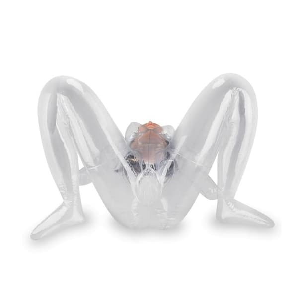 Sexdocka andromaque transparent vagina sugare Alice