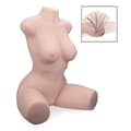 Miniatyrbild 1 av 4: Realistisk masturbator bust - Francesca - Ljus hud - 9,5 kg - Nudelade och strierade anus och vagina