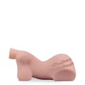 Miniatyrbild 3 av 4: Siliconbyst 2,5 kg - Lindsay - Litet modell - Realistiskt hudkänsla - Texturerat vaginal- och analöppning