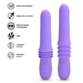 Miniatyrbild 2 av 4: Fram och tillbaka vibrator 12 vibrationslägen