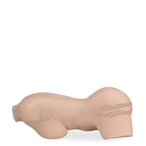 Taylor aspirationer och vibrationer onani byst 6,2 kg