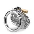 Miniatyrbild 5 av 6: Peniskorg Hell Spiral