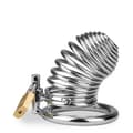 Miniatyrbild 6 av 6: Peniskorg Hell Spiral