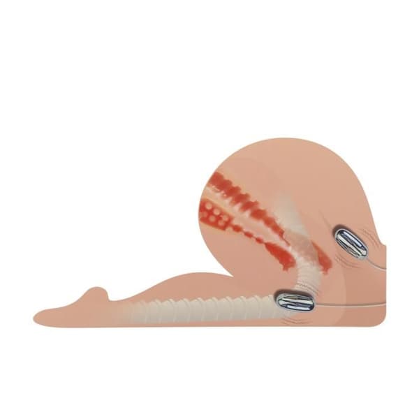 Rumpor bakifrån ben anus vagina