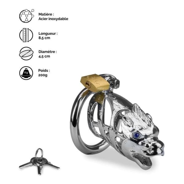 Dragon kinesisk astrologi penisbur - LOVE AND VIBES M Collection