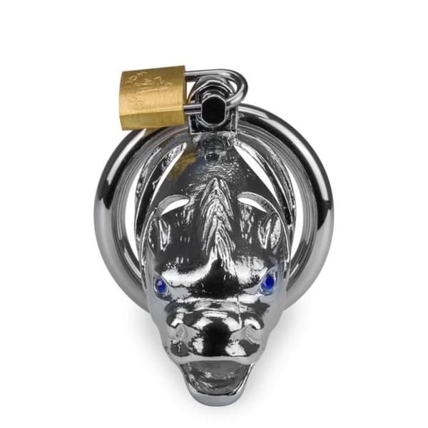 Dragon kinesisk astrologi penisbur - LOVE AND VIBES M Collection