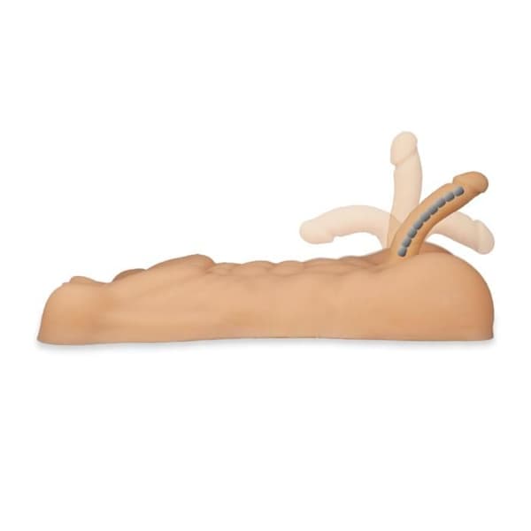 Masturbator - KÄRLEK &amp; VIBES - Riktig manlig torsopenis och anus - 7,65 kg - Anus