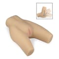 Miniatyrbild 2 av 4: Masturbator för bakdel Callie - TPE - Ribbad vagina - Knölig anus - Vit - 3,8 kg