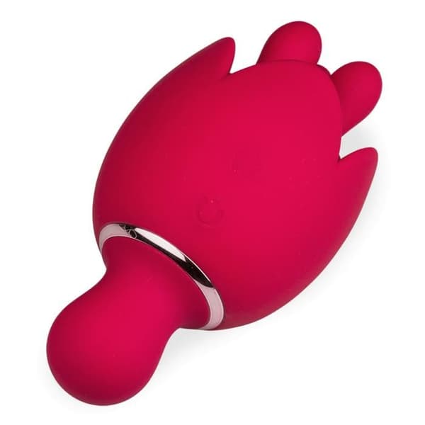 Bis klitoris stimulator och massageapparat