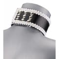 Miniatyrbild 5 av 6: Collier BDSM av underkastelse Empire