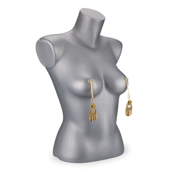 Audacity BDSM Nipple Clamps