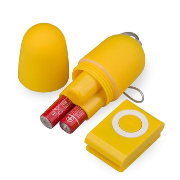 Vibrerande fjärrstyrd ägg