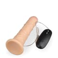 Miniatyrbild 6 av 6: Liten realistisk ådrad dildo med sugkopp och vibrerande