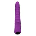 Miniatyrbild 6 av 6: Twisty roterande vibrator