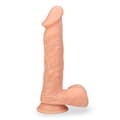 Miniatyrbild 3 av 6: Gode ventouse Captain Cock