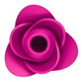 Miniatyrbild 4 av 5: Satisfyer Pro 2 Modern Blossom