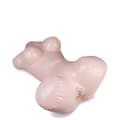 Miniatyrbild 1 av 4: Paula genomtränglig uppblåsbar dockbyst - PVC - Rosa - Vuxen - Pocketdocka