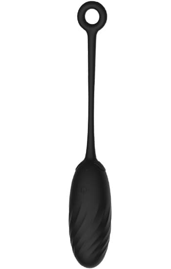 Vibrating Egg With Remote Vibrerande ägg