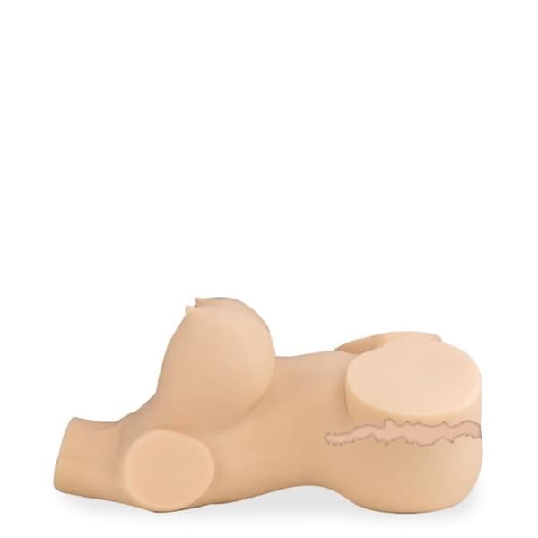 Manlig onani Vibrerande byst och fram och tillbaka 7,0 kg Asma - LOVE AND VIBES Collection sexdocka i silikon