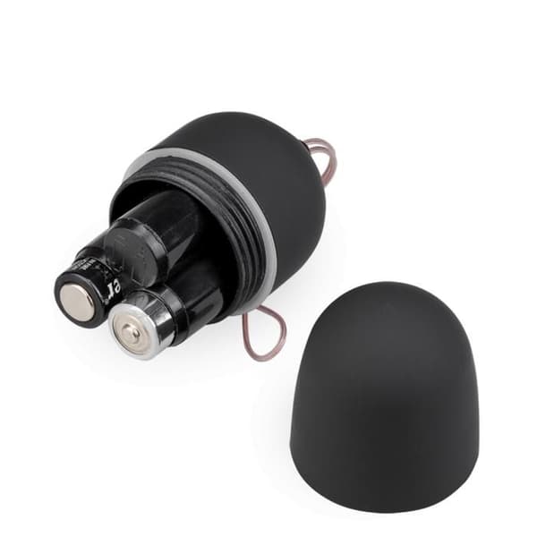 Fjärrstyrd vibrerande ägg