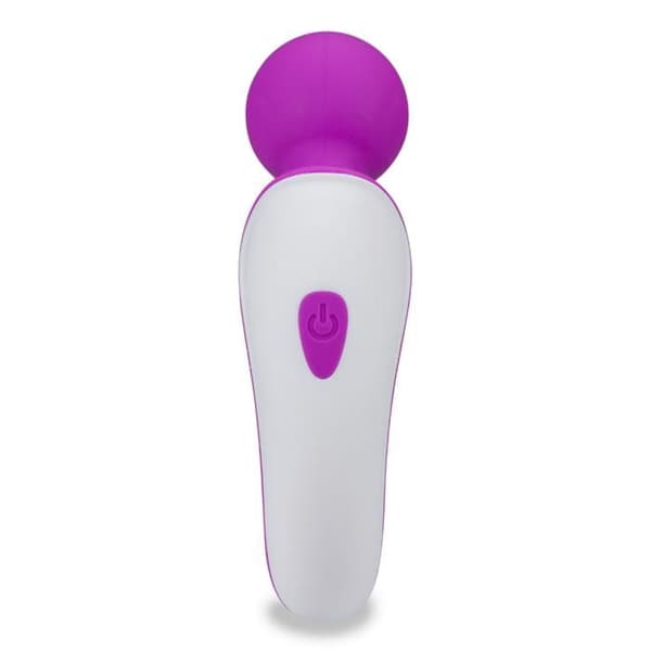 Mini Passenger Wand Vibrator